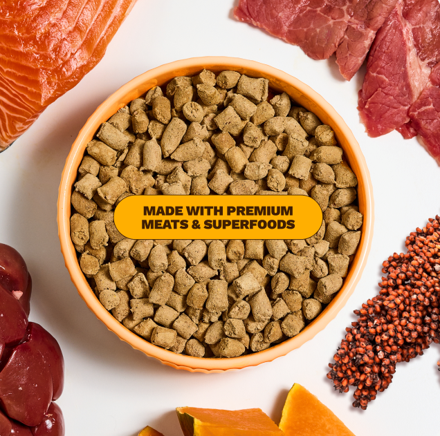 Get Joy Active Dog Bundle — daily gut-healthy nutrition routine for active dogs | 