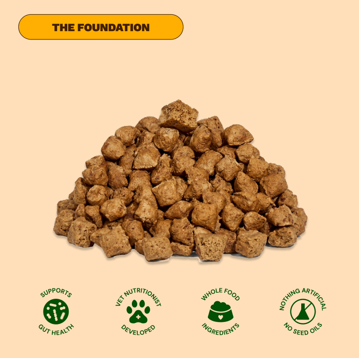 Get Joy Active Dog Bundle Beef — gut-healthy functional dog nutrition bundle | 