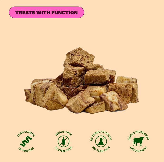Get Joy Active Dog Bundle Beef — complete dog nutrition with Belly Biotics™ | 