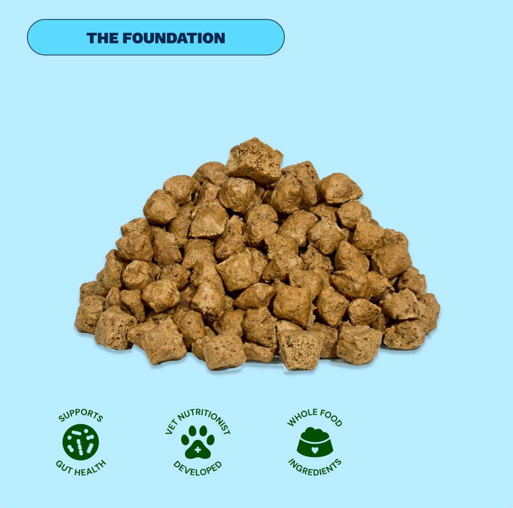 Get Joy Senior Essentials Bundle Chicken — nutritional benefits for aging dogs | 