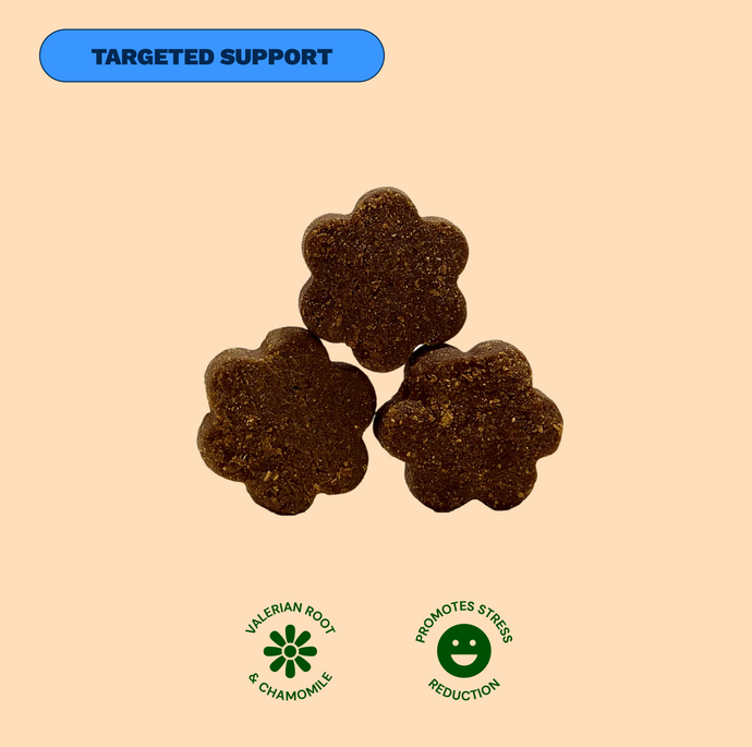 Get Joy Puppy Essentials Bundle — Beef recipe nutritional benefits for puppies | 