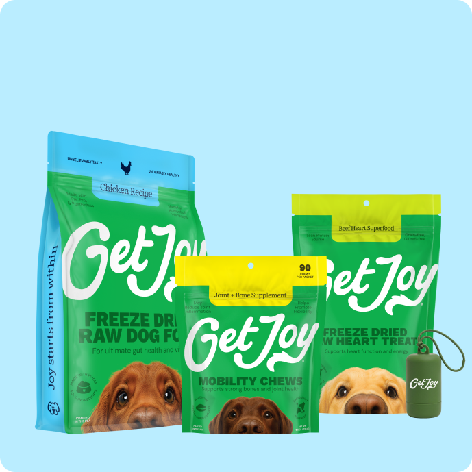 Senior Essentials Bundle