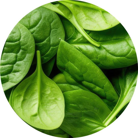 Spinach