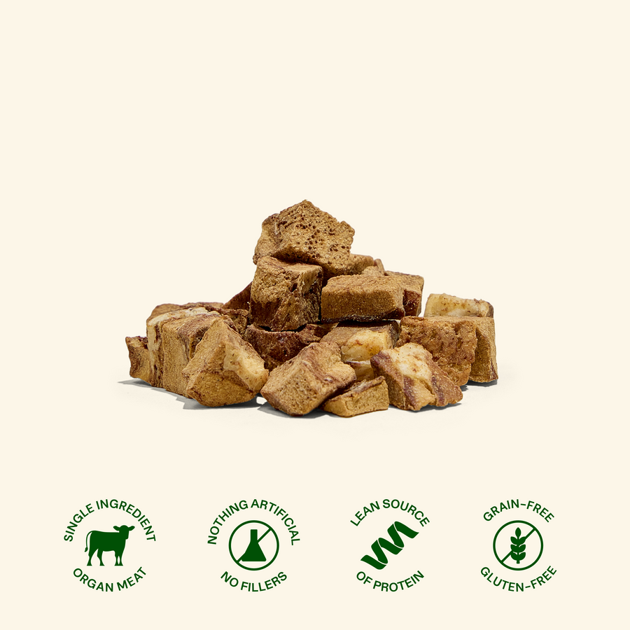 Get Joy Superfood Beef Kidney Treats close-up — freeze-dried USDA organ meat dog treat