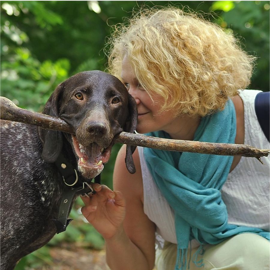 A dog carrying a stick with its owner