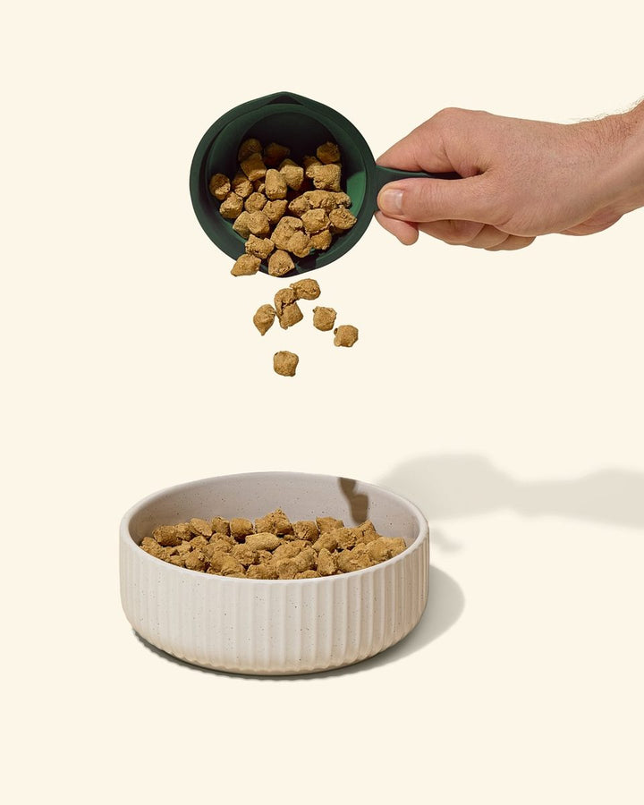 A scoop of Get Joy Freeze Dried Raw poured into a bowl