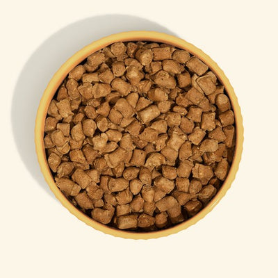 A whole bowl of Get Joy Freeze Dried Raw Beef