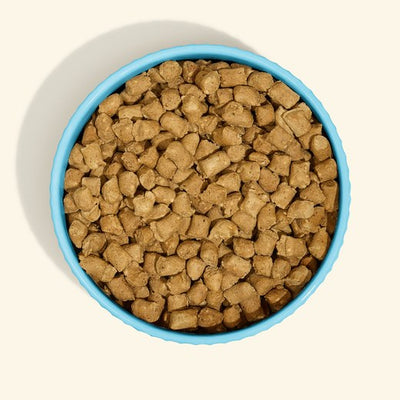A whole bowl of Get Joy Freeze Dried Raw Chicken