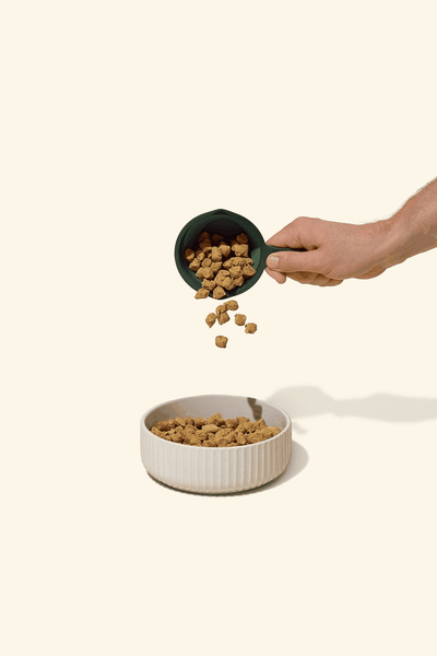 A scoop of Get Joy Freeze Dried Raw poured into a bowl