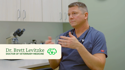Dr. Brett Levitzke, DVM