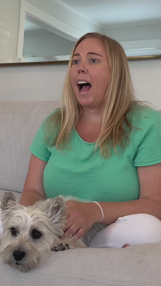 Happy dog on Get Joy — customer testimonial