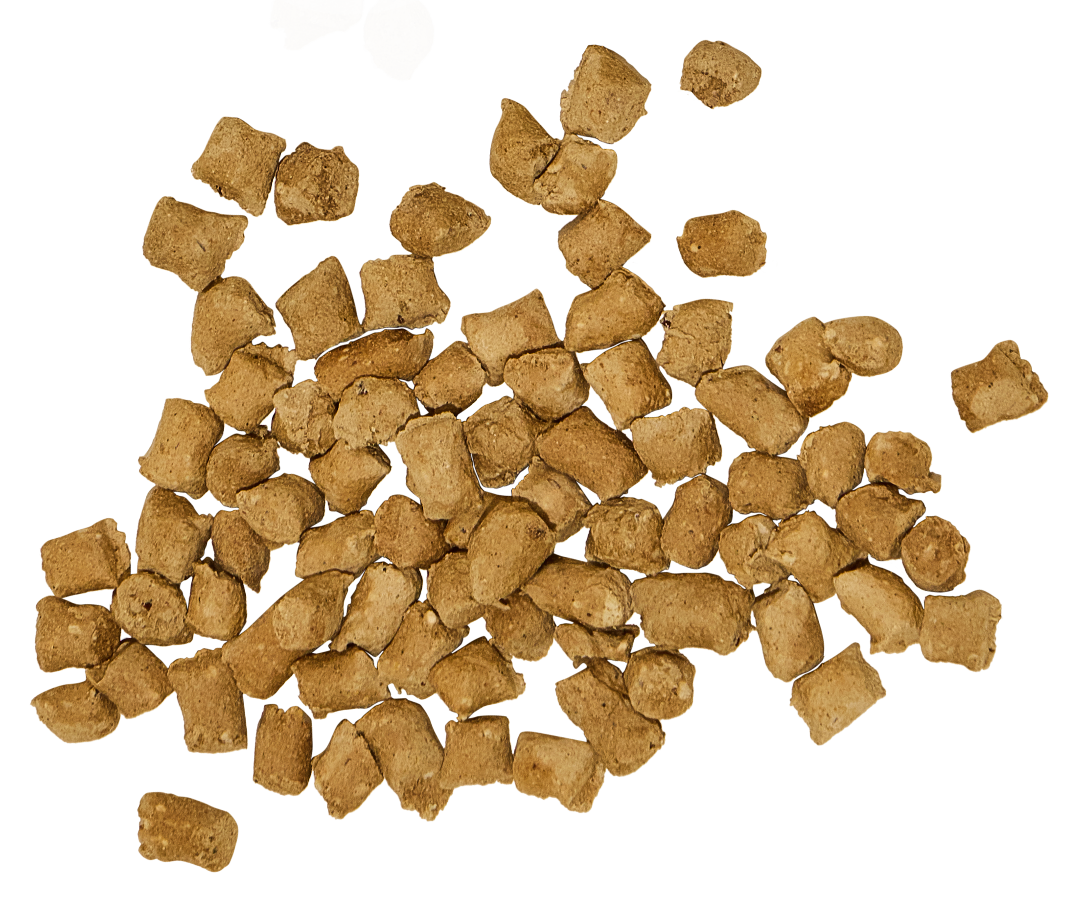 Get Joy Dog Food
